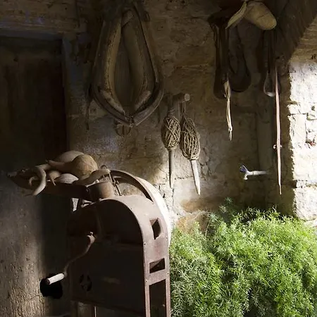 Barnosell * Llaviá