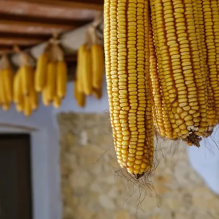 Barnosell * Llaviá