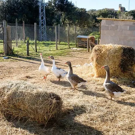 Country house Barnosell - Els Masos D'en Coll